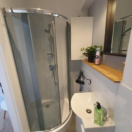 Apartman Przytulny Na Poznanskim Gorczynie Poznań